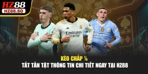 Kèo Chấp 1/2 - Tất Tần Tật Thông Tin Chi Tiết Ngay Tại HZ88
